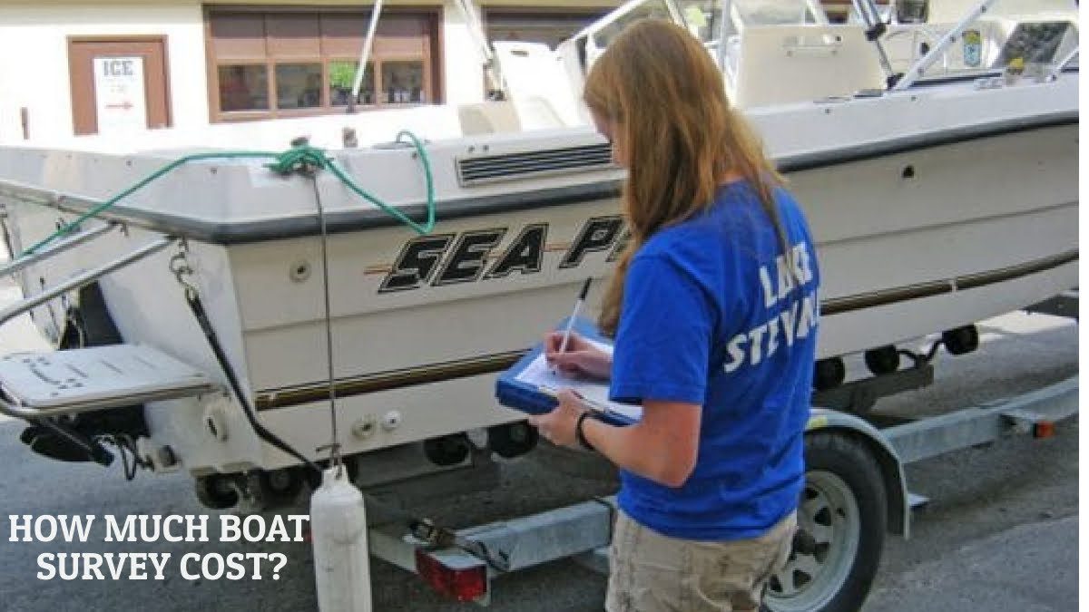 boat survey cost